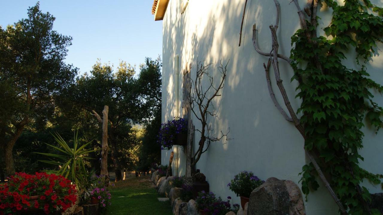 Le Sughere Padru Exterior foto